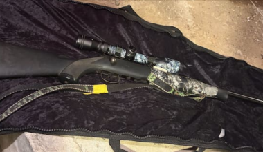 Patched gang member among three arrested after guns, drugs seized