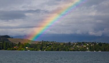 'Spring doozy' weather to follow a sunny start for Labour Weekend