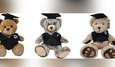 Auckland uni graduation bears recalled two weeks after ceremonies