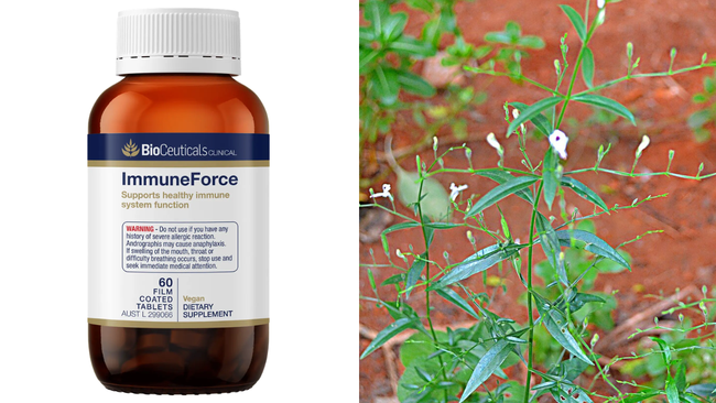 An urgent recall of supplements containing andrographis has hit 13 products, four of which from Bioceuticals.