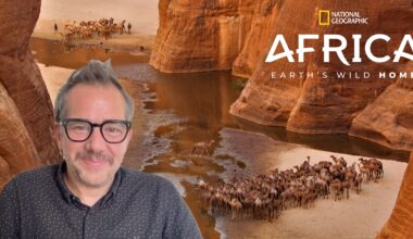 Africa Earth’s Wild Home: Interviewing Showrunner Gavin Boyland