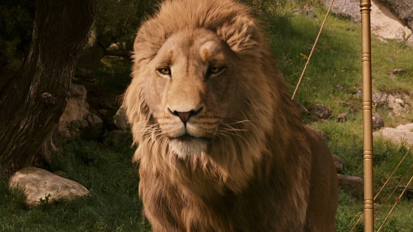 Netflix's Narnia Reboot Is Breaking the Books' Biggest Rule
