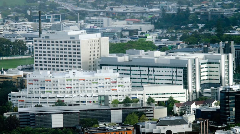Auckland City Hospital and Starship children's hospital.