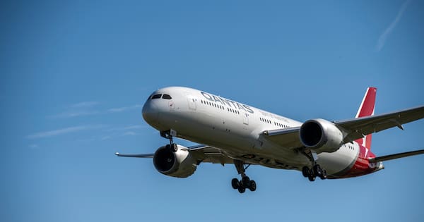 Qantas passengers complain of bed bug outbreak on plane