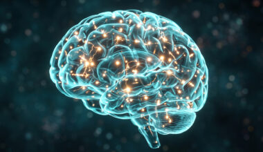 Scientists reveal the brain's hidden role in building exercise endurance