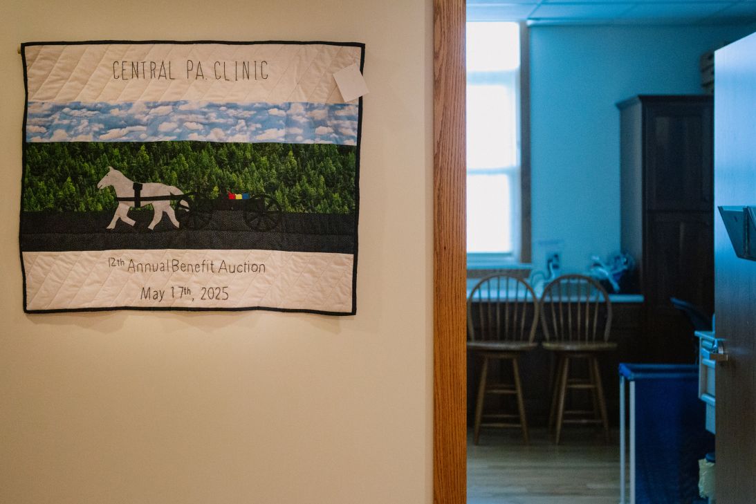 Plain families put handmade quilts, baked goods, farm equipment and livestock up for sale and gift their earnings back to the clinic.