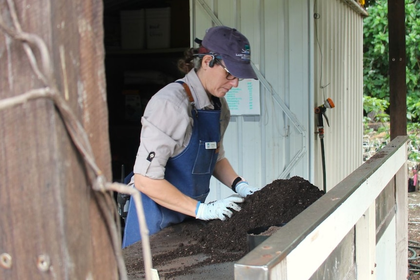 A woman in a cap near a shed, running her hands through dark potting mix on a bench.