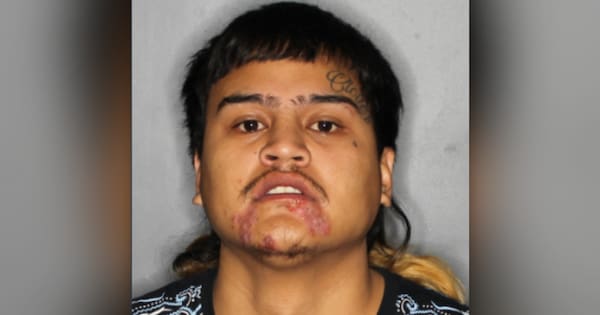Police hunt 'dangerous' man, 22, who skipped compassionate bail