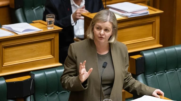Labour's justice spokesperson Camilla Belich.