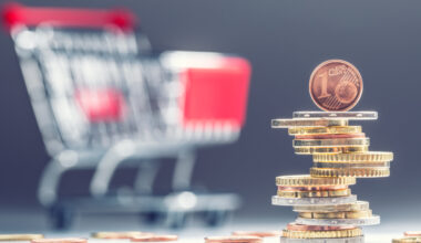 Euro area annual inflation up to 3.8% - Euro indicators
