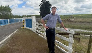 One bridge to span them all: Mayor calls for standard national design