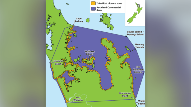 Changes to the recreational fishing rules for shellfish and other specified marine life in Auckland and Coromandel will support the sustainability of intertidal fisheries and prevent excessive harvesting, the Government says.