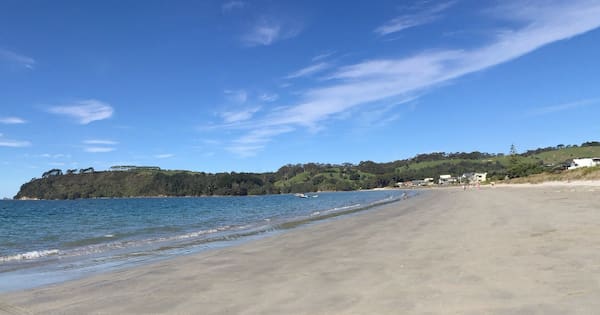 Person dies after falling from cliff at Coromandel beach