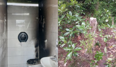 Council 'saddened' after trees cut down, arson at public toilets