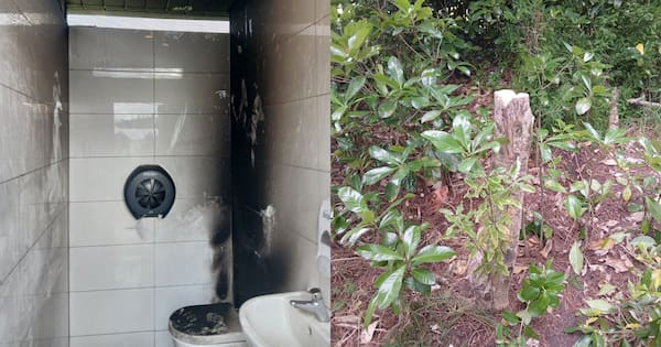 Council 'saddened' after trees cut down, arson at public toilets