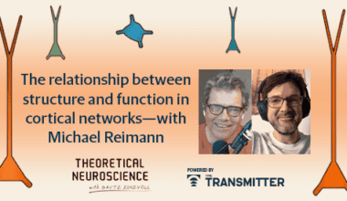 The structure-function relationship in cortical networks