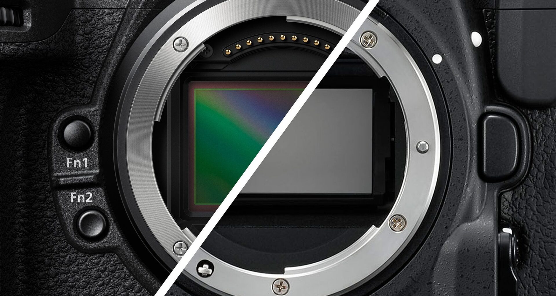 Working photographer regularly uses TEN cameras – including old pro DSLR and 35mm film cameras alongside his cutting-edge full-frame mirrorless!