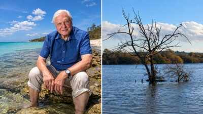 In 2020, David Attenborough helped raise £1 million to save the reserve he opened in 1966; its 220 hectares have recorded 2,500 wildlife species, including 250+ bird species