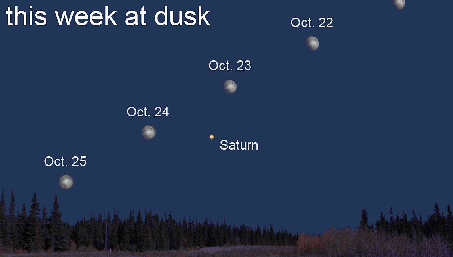 Dennis Mammana: Watch the Moon Dance Across the Night Sky Toward a Close Encounter with Saturn | Outdoors