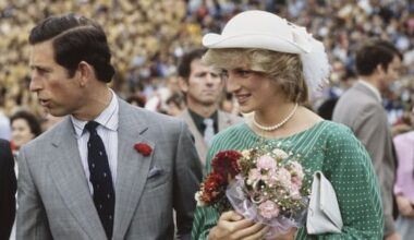 NZ trip a 'turning point' in Charles and Diana's marriage, says her brother