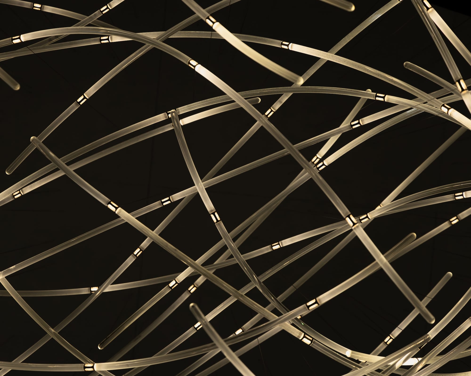 a detail of a suspended LED light sculpture with luminescence moving through undulating tubes