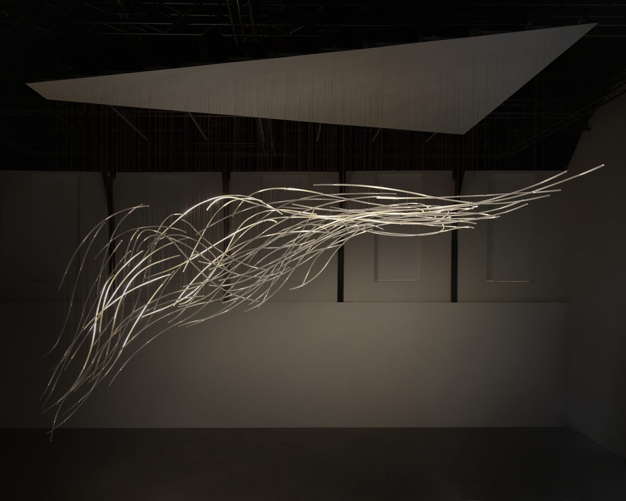 a suspended LED light sculpture with luminescence moving through undulating tubes