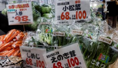 Japan's leafy greens shortage hits restaurants