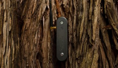 An electrical sensor is attached to a tree trunk.
