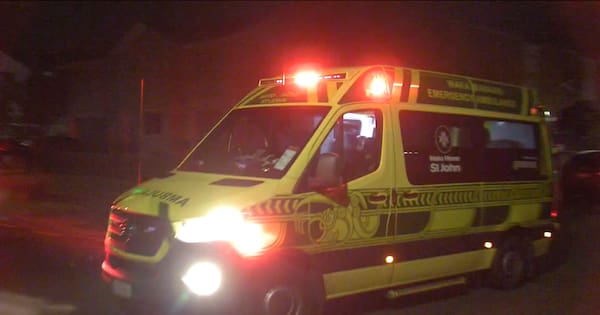 Person critically injured after standoff with armed police in west Auckland