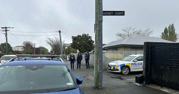 Man pleads guilty to murder following double killing in Christchurch