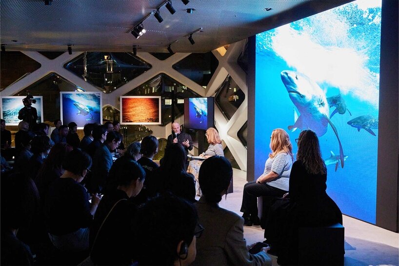 ‘we are all marine animals, we just forgot’: photographer enzo barracco at the ocean&climate village - 6