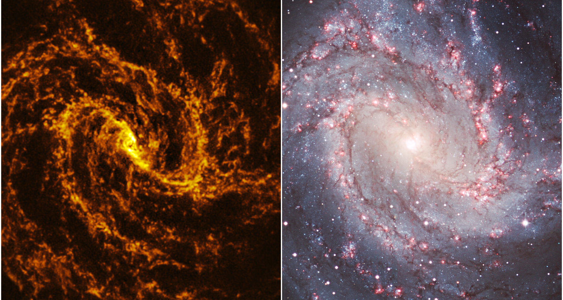 Galactic 'photo negative' reveals a spiral galaxy in another light photo of the day for Oct. 6 2026