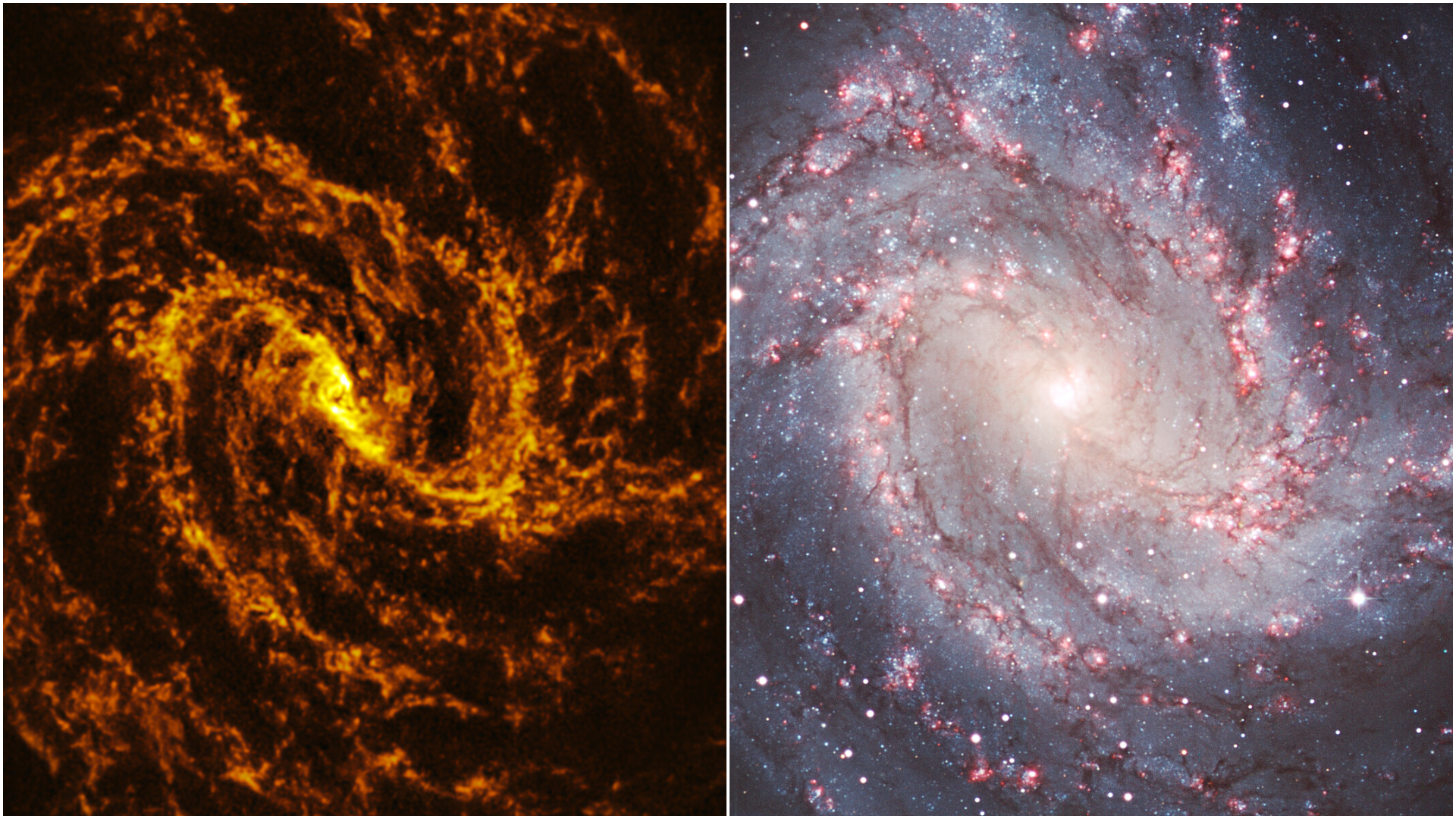 M83 in two different wavelengths side-by-side.
