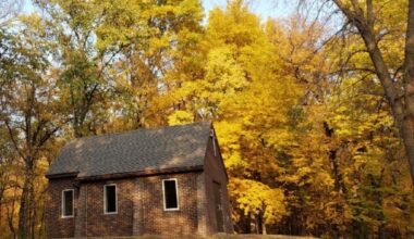 Fall autumn leaves
