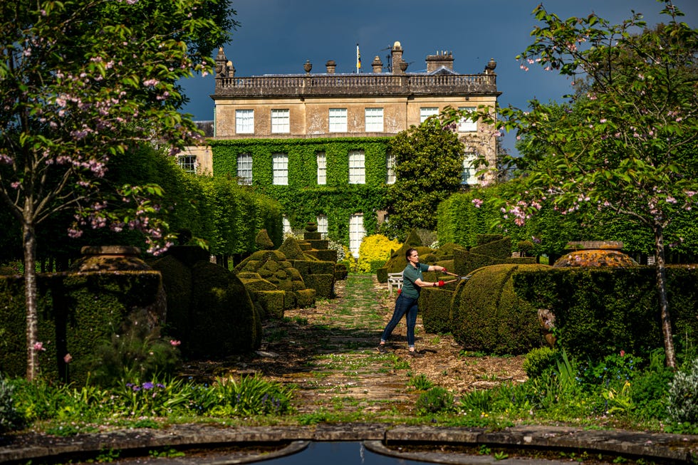 World Topiary Day 2024