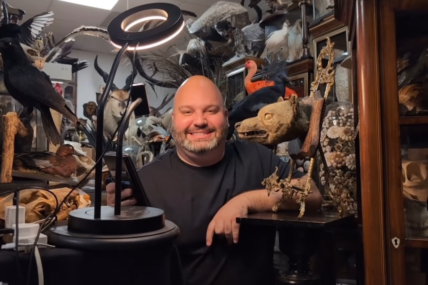 a man with bald head smiles from within a room full of taxidermied animals