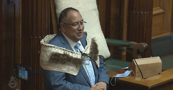 MPs fondly recall being ‘booted out’ by Adrian Rurawhe