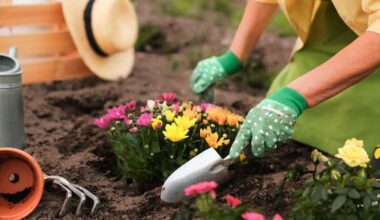 More than 200 New Zealanders injured a day while gardening – ACC