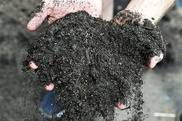 Gardeners warned about Legionnaires’ disease after 36 cases in Canterbury