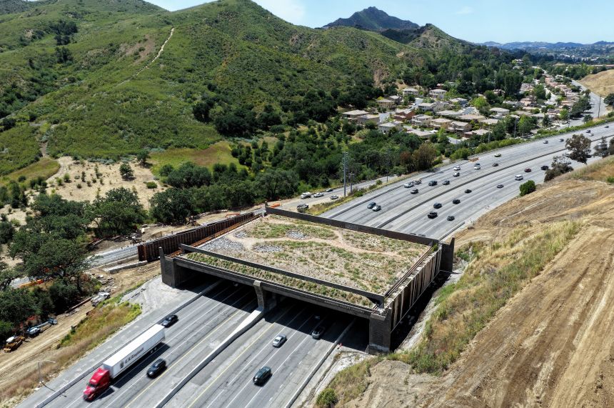 After 14 years in the making, the Wallis Annenberg Wildlife Crossing over greater Los Angeles’ 10-lane Highway 101 is set to open in December.