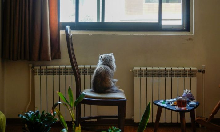 New electricity rule affects Croatian households this winter
