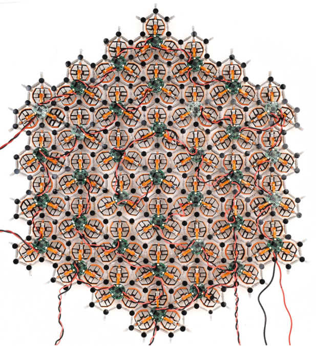 A Strange New Time Crystal Emerges From Synchronized Vibrations
