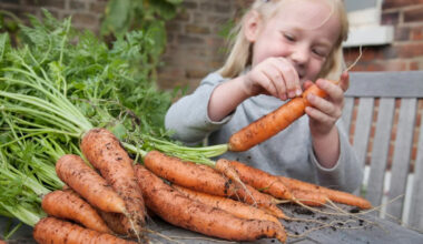Vegetables are now half as nutritious than 60 years ago. Experts have worked out why