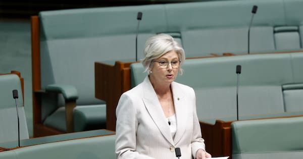 Aus MP loses leg, remains critical after alleged targeted attack
