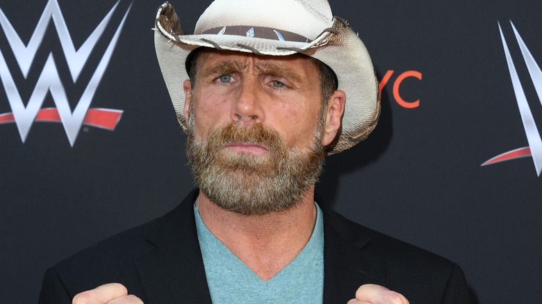 Shawn Michaels attends WWE's first-ever Emmy "For Your Consideration" event at Saban Media Center on June 6, 2018 in North Hollywood, California.