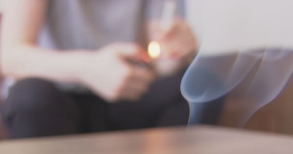 National's plan to drug test jobseekers gets wide backing from public