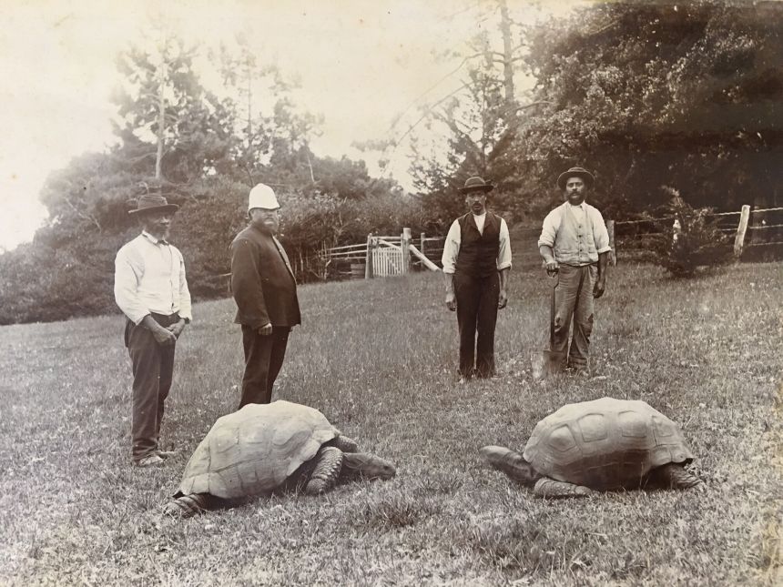 A photo taken in 1882 when Jonathan (left) arrived in St. Helena.