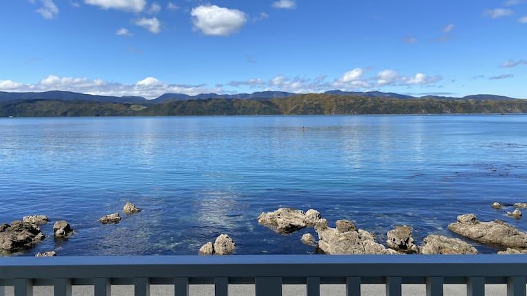 Sharman's view of Karaka Bay from her house.