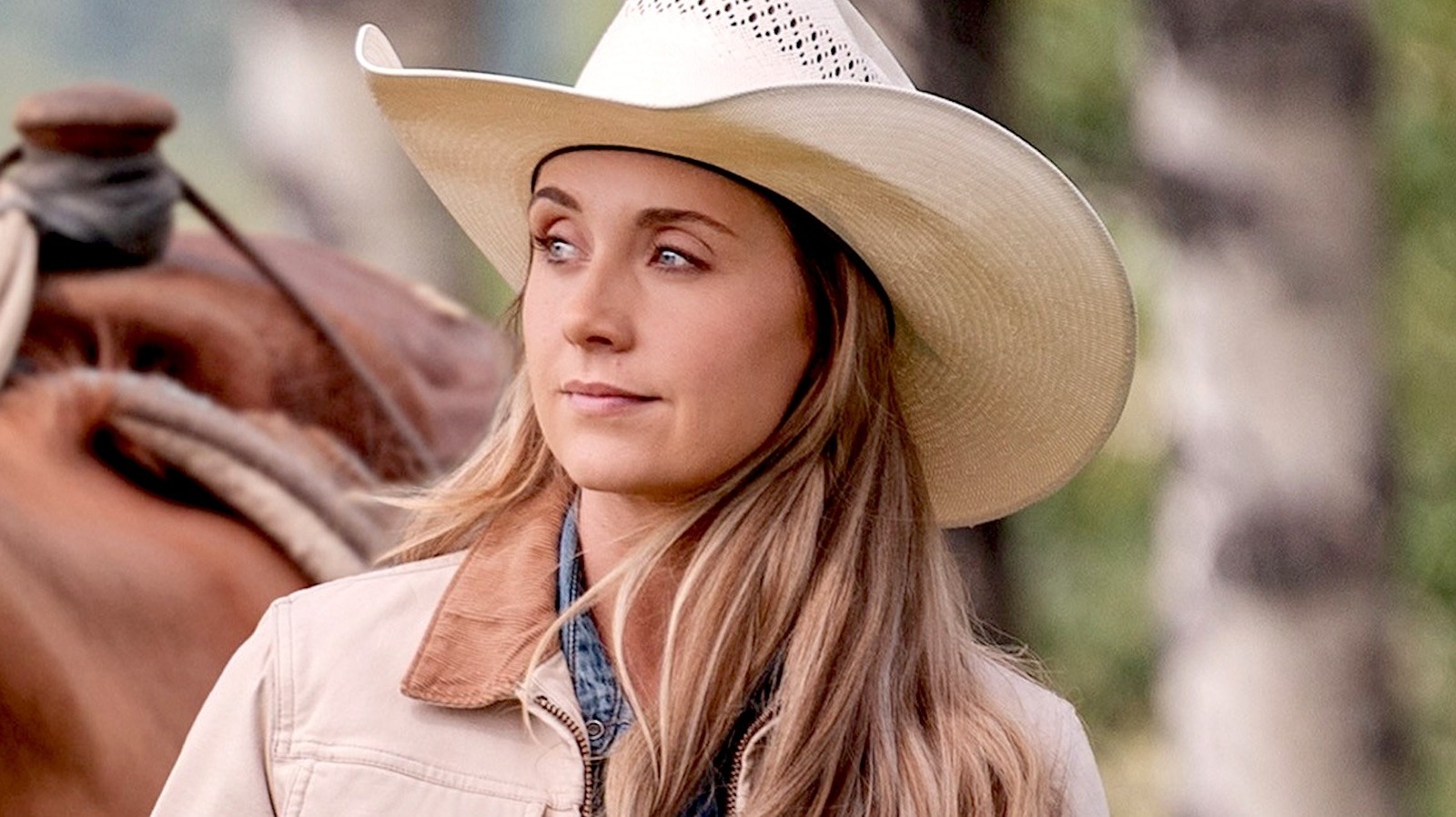 Heartland Season 20, Fallout Reality Show On Prime Video Get Release Dates