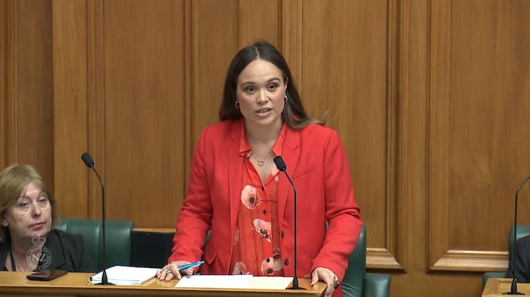 Labour Commerce spokesperson Arena Williams.